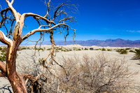 Mesquite Flat Sand Dunes