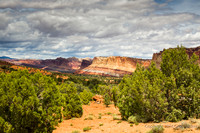 View Of The Park