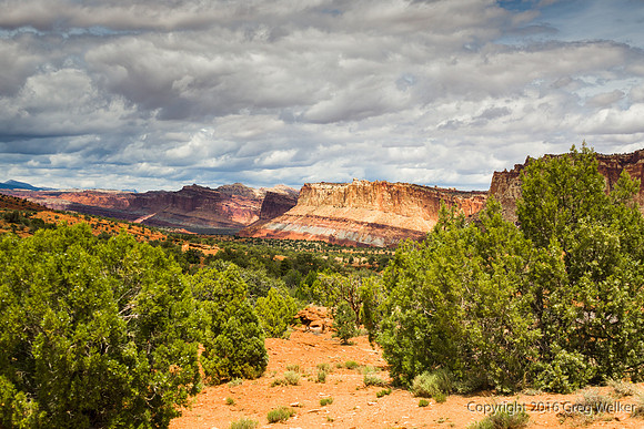 View Of The Park