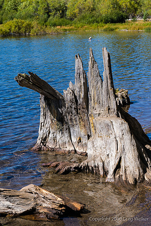 Manzanita Lake