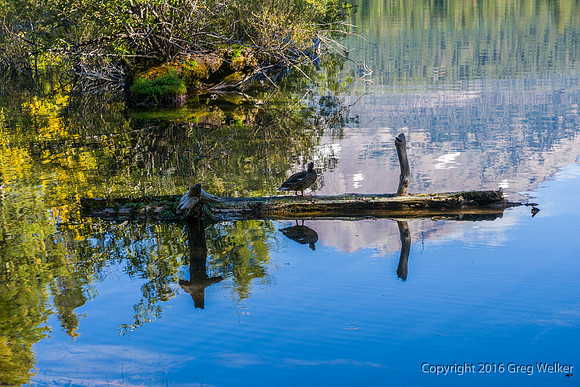 Manzanita Lake