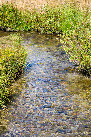 Kings Creek