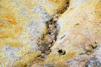 Supans Sulphur Works