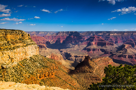 Canyon Views