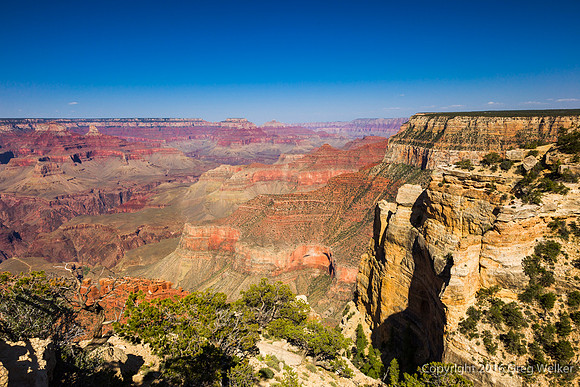 Canyon Views