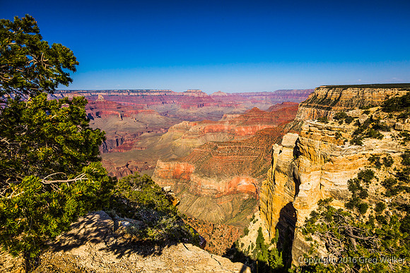 Canyon Views