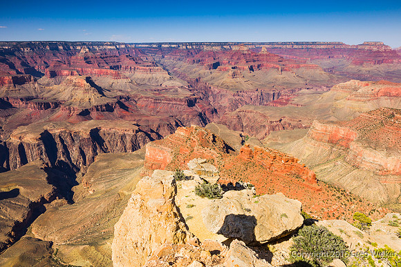 Canyon Views