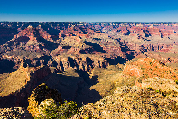Canyon Views