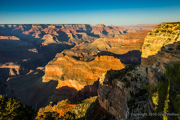 Canyon Views