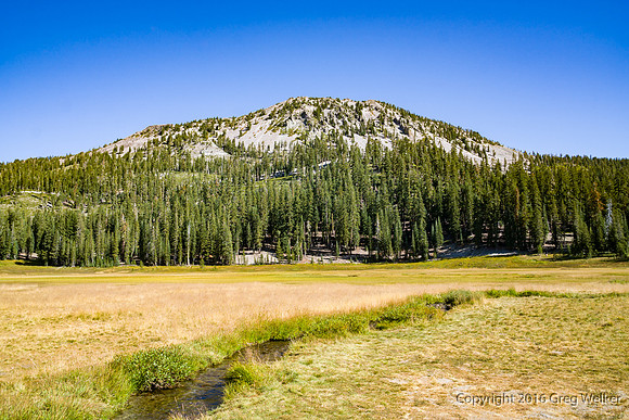 Kings Creek, Paradise Meadow & Reading Peak
