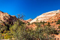 Shots On Hwy. 9 Approaching Zion From Mt. Carmel Jct.