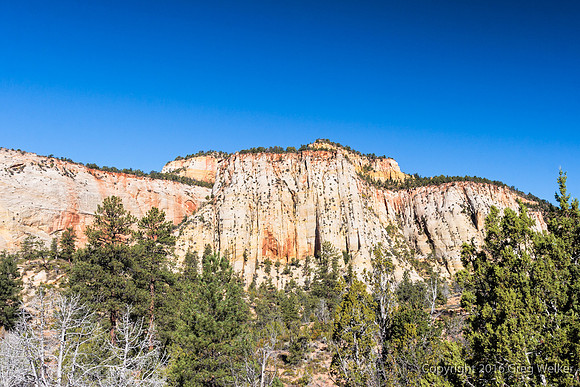 Shots On Hwy. 9 Approaching Zion From Mt. Carmel Jct.