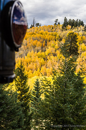 Fall Colors