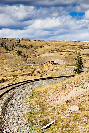 Another Osier Shot