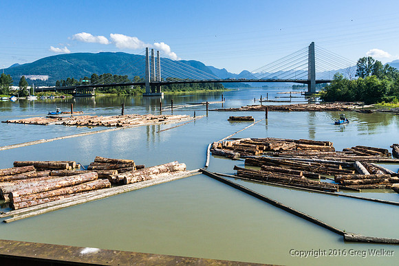 Pitt River And Bridge.