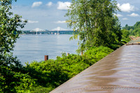 Golden Ears Bridge Over Fraser River.