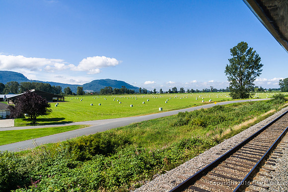 Along The Way