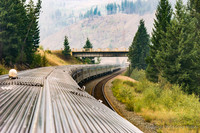 View Of Rear Portion Of The Train