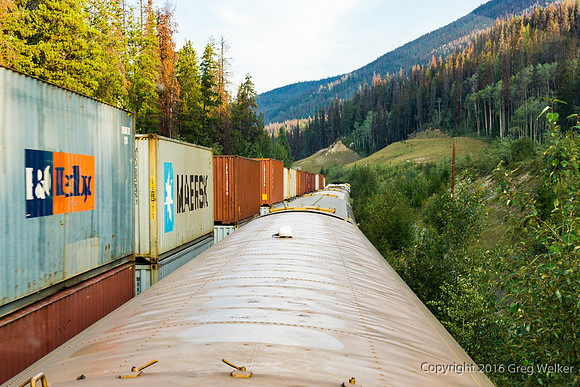Yellowhead Near Yellowhead Lake