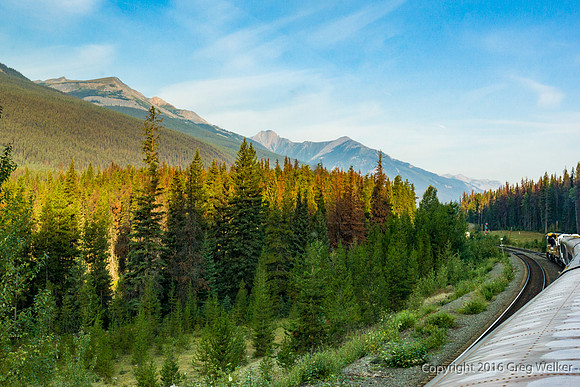 Yellowhead Near Yellowhead Lake