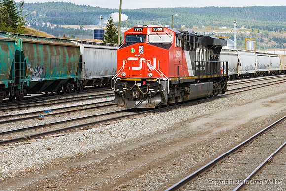 Williams Lake Yard - Williams Lake BC