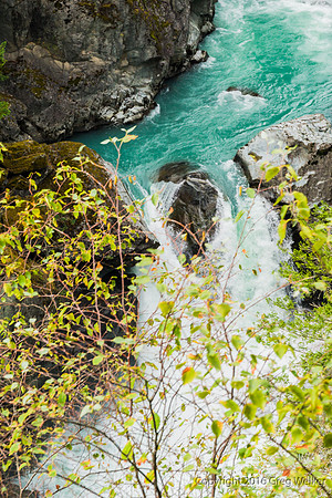 Views Of Cheakamus River From Trestle