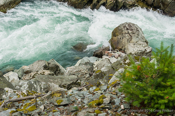 Cheakamus River