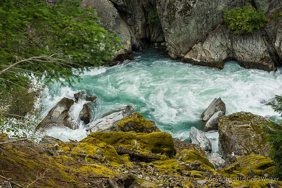 Cheakamus River