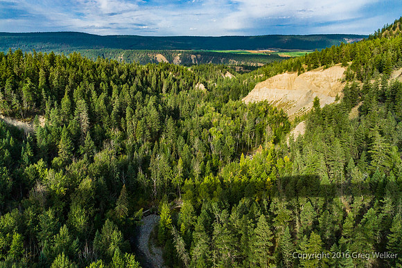 Deep Creek Trestle - Also Known As Hawks Creek Trestle