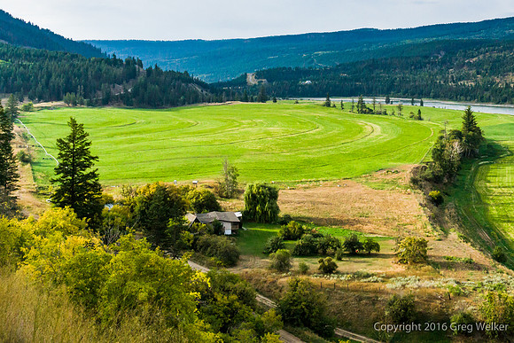 Fraser River Near Soda Creek Townsite