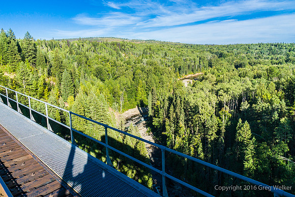 Cottonwood River And Trestle