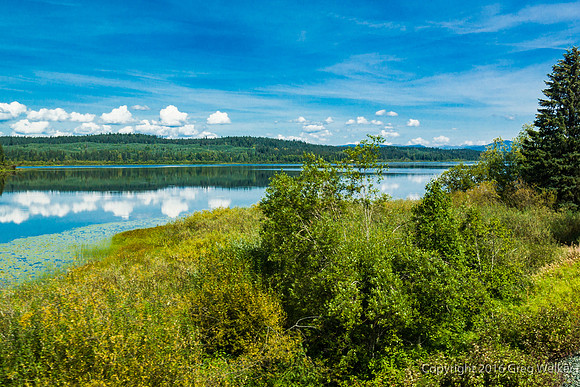 Eaglet Lake