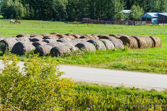 Robson Valley View