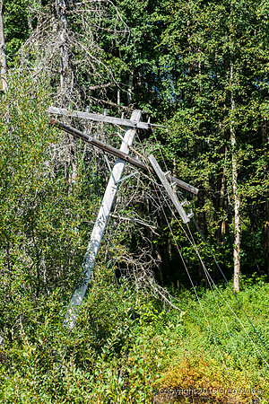 Old Telegraph Pole No Longer In Use
