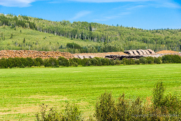 Dunkley Lumber Co. At Strathnaver