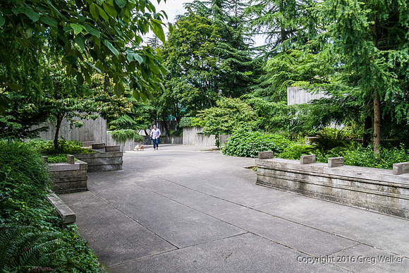Views Entering, Within And Leaving Freeway Park