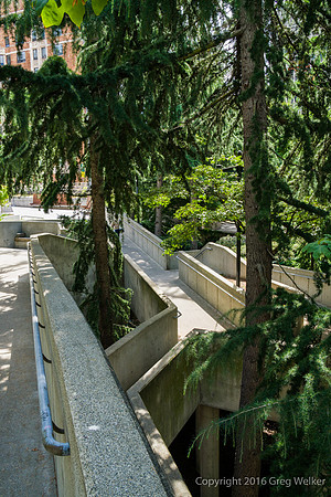 Views Entering, Within And Leaving Freeway Park