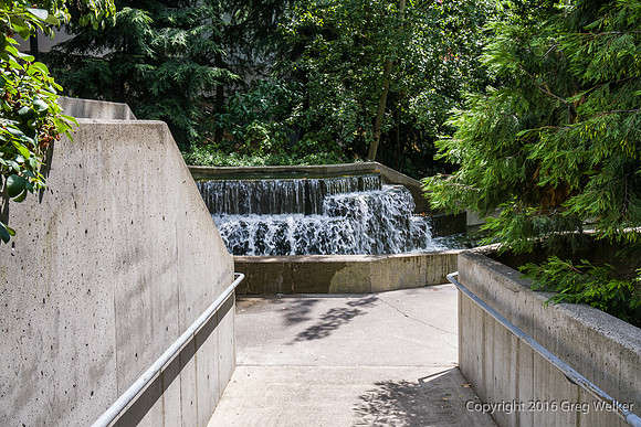 Views Entering, Within And Leaving Freeway Park