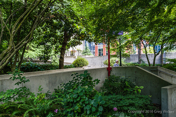 Views Entering, Within And Leaving Freeway Park