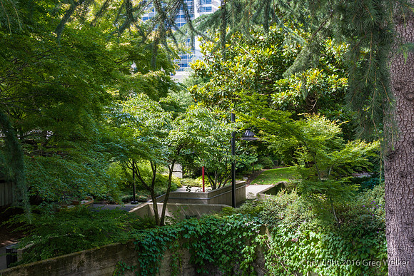 Views Entering, Within And Leaving Freeway Park