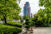 Views Entering, Within And Leaving Freeway Park