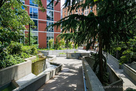 Views Entering, Within And Leaving Freeway Park
