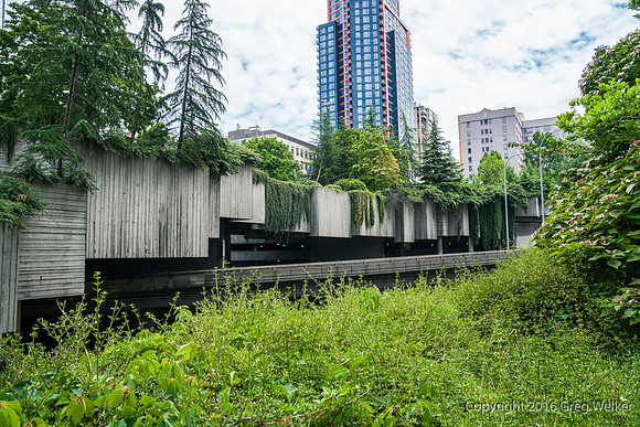 Views Entering, Within And Leaving Freeway Park