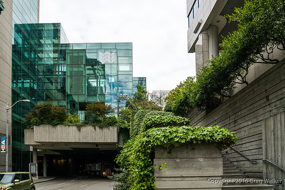 Views Entering, Within And Leaving Freeway Park