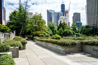 Views Entering, Within And Leaving Freeway Park
