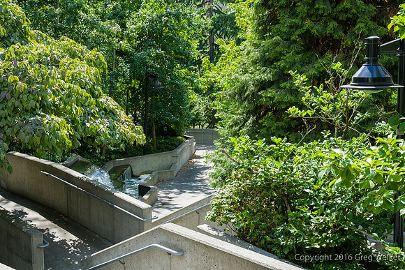 Views Entering, Within And Leaving Freeway Park