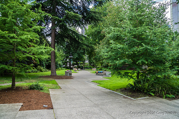 Views Entering, Within And Leaving Freeway Park