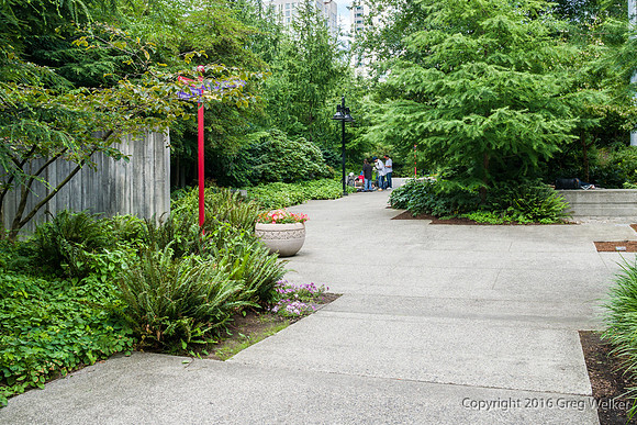 Views Entering, Within And Leaving Freeway Park