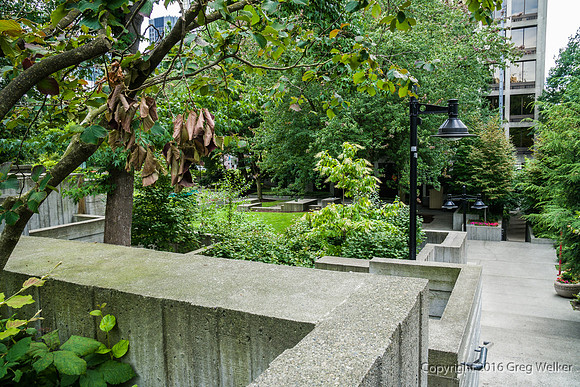 Views Entering, Within And Leaving Freeway Park