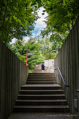 Views Entering, Within And Leaving Freeway Park